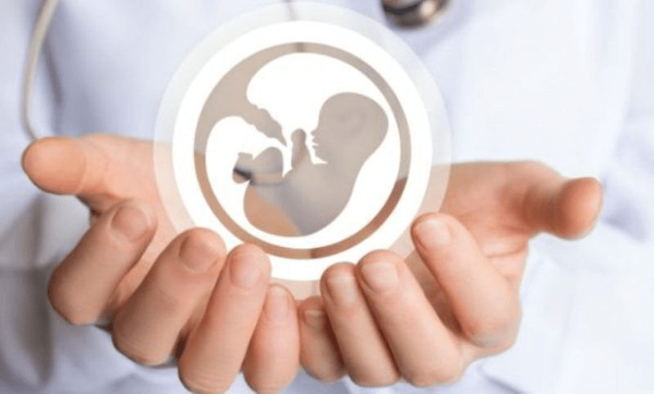 حمایت ۱۳۵ میلیارد تومانی بیمه سلامت از زوجهای نابارور گیلانی