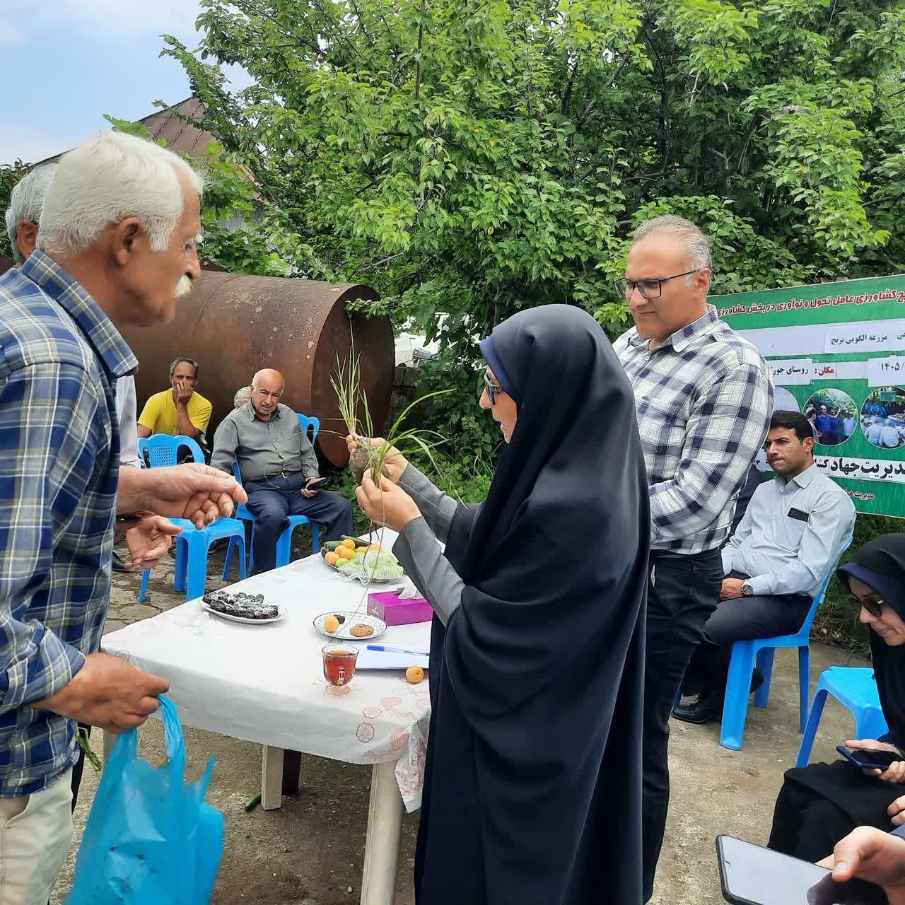 شبکه ملی مزارع الگویی کشور؛ بستری برای ترویج مشارکتی