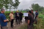 از کمبود فسفر تا بیماری بلاست؛ بررسی چالشهای شالیزارهای لاهیجان توسط متخصصان مؤسسه تحقیقات برنج از کمبود فسفر تا بیماری بلاست؛ بررسی چالشهای شالیزارهای لاهیجان توسط متخصصان مؤسسه تحقیقات برنج
